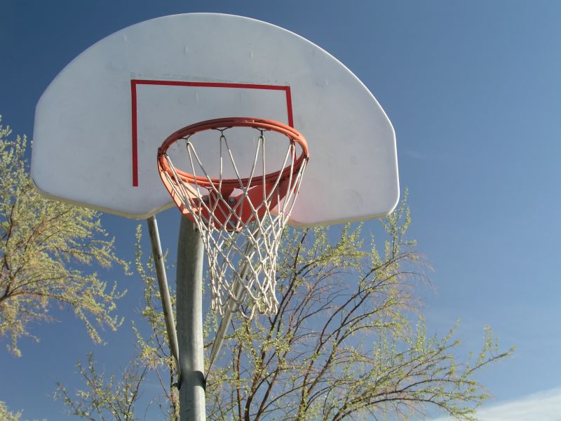 Basketball Hoop Installation in Littleton, CO